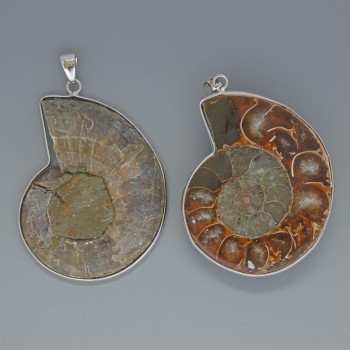 Ammonite Pendant, assorted diameter from 35x43mm to 37x45mm+/-, length 53mm+/- in a silver-tone setting, assorted size