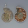 Ammonite Pendant, assorted diameter from 35x43mm to 37x45mm+/-, length 53mm+/- in a silver-tone setting, assorted size
