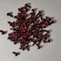 "Living Eyes" Findings red colour, diameter 8mm pack of 50 pairs