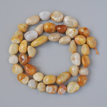 Beads - Fossilised Coral, faceted, 8×10 mm, approx. 41 cm length on a thread