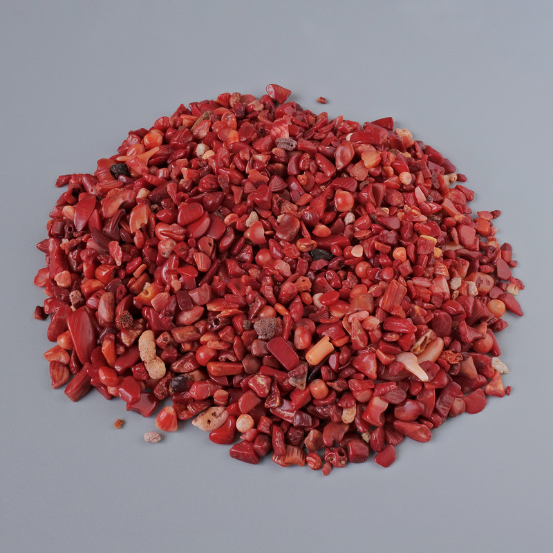 Natural Coral Chip Beads without Hole, 5mm+/- 100g Pack