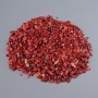 Natural Coral Chip Beads without Hole, 5mm+/- 100g Pack