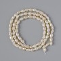 Freshwater Pearls Beads, diameter 3x4mm, length 33cm on thread