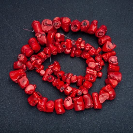 Natural Coral Chip Beads, assorted sizes, diameter assorted from 12x10 to 30x12mm+/-, length 38cm+/- (price per 100g) on fishing line