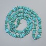 Beads Dyed Sky Blue Mother-of-Pearl chips, diameter 10x2mm+-, length 80cm+- on fishing line