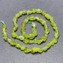 Chrysolite Beads on Thread, Natural Raw Tumbled Stone, Diameter 8x6mm+/-, Length 40cm+