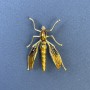 Insect Brooch, Golden-Yellow Metal Colour, Diameter 39mm+-, Length 42mm+