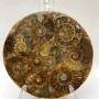 Souvenir Plate, Fossilised Ammonite, Diameter 11cm+/- with Stand 15x10cm+