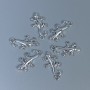 Lizard Pendant Finding, Silver Metal Colour, Size 23×13×2mm+/- Hole Diameter 2mm+/-, Pack of 12pcs