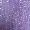 Czech Crystal Beads on Fishing Line, Transparent Lilac with Petrol Sheen, Rondelle, Diameter 8x6mm+/-, Length 42cm+
