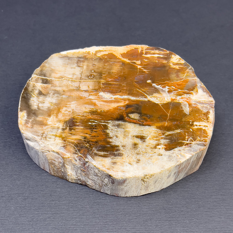 Price per 100g. Souvenir natural petrified wood slice, dimensions ~ 90x80x23mm± ~weight 250g