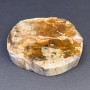 Price per 100g. Souvenir natural petrified wood slice, dimensions ~ 90x80x23mm± ~weight 250g