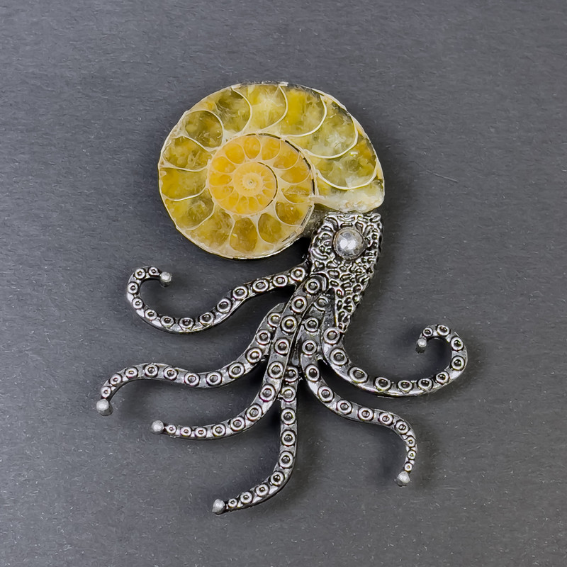 Brooch pendant Ammonite, diameter 32-38mm±, silver-coloured metal 67x53mm±, Assorted sizes