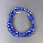 Lapis lazuli beads tumbled 9x7mm+- on fishing line, length 40cm+