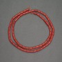 Natural Red Coral Beads, Tube Cylinder, Diameter 3.5x5.5mm+-, Length 40cm+