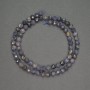 Natural Sapphire Beads Faceted Round, Diameter 5.5mm+-, Length 39cm+