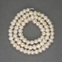 River White Oval Pearls on Strand, diameter 5x5-5.5mm+/-, length 35cm+