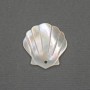 Shell Pendant made of Natural Mother-of-Pearl 22x22mm+