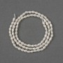 Natural River Pearl Beads 3.5-4x3mm+-, length 36cm+- on a thread