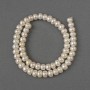 Natural River Pearl Beads, 7-7.5x5.5mm+/-, Length 38cm+/- on Thread
