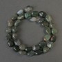 Moss Agate Tumbled Beads, diameter 12x10mm+-, length 40cm+- on a strand