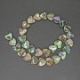 Haliotis Heart Beads, diameter 13mm±, length 35cm± onThread