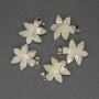 Mother-of-Pearl Leaf Pendant 27x18mm+/- Silver-Tone Metal