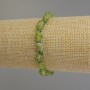 Chrysolite Bracelet, tumbled beads diameter 7-9x6mm+/-, faceted Chrysoprase rondelle 3.5x3mm+/-, length 18cm+/- stretch