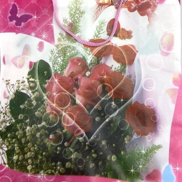 Gift Bag 24x18cm (PE material)