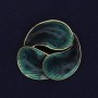 Brooch Accent with Green Enamel and Golden-toned Metal 44mm+