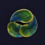 Accent Brooch, Yellow and Blue Enamel, Gold-Tone Metal, 44mm+