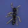 Ant Brooch Black Enamel, Gold-Tone Metal 42x57mm+