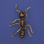 Ant Brooch Brown Enamel, Gold-Tone Metal 42x57mm+