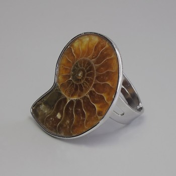 Ammonite Ring 25x30mm+-, One Size, Silver-Tone Metal
