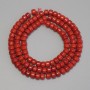 Red Coral Rondelle Disc Beads, diameter 5x3.5mm+- on thread, length 40cm+
