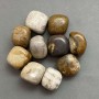 Souvenir Natural Stone Petrified Coral Tumbled ~ Size 21-25x17-22x17mm (+/-) 100g Pack (price per 100g)