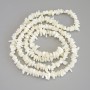 Mother of Pearl Chip Beads, diameter 7-125x3-5mm+/-, on fishing line, length 78cm+