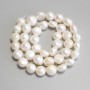 Freshwater Pearls Beads, diameter 8–9mm ± on thread, length 35cm+