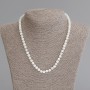 Mother-of-Pearl Necklace, rondelle beads, diameter 4-5x5,5mm+-, length 50cm +- with clasp