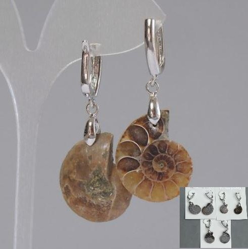 Earrings with Natural Ammonites 24x17x6mm+-, length 50mm+- assorted size