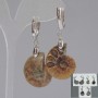 Earrings with Natural Ammonites 24x17x6mm+-, length 50mm+- assorted size