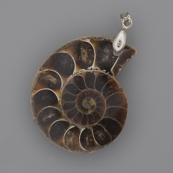 Ammonite Pendant 35x28mm+-, length 45mm+- assorted sizes (per 1 pc.)