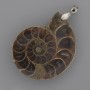 Ammonite Pendant 42x35mm+-, length 52mm+- assorted sizes (per 1 pc.)
