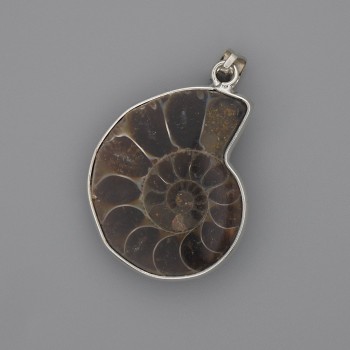 Ammonite Pendant in Silver-tone Setting 30x26mm+-, length 43mm+- assorted sizes (per 1 pc.)
