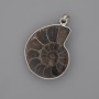 Ammonite Pendant in Silver-tone Setting 30x26mm+-, length 43mm+- assorted sizes (per 1 pc.)