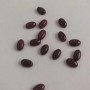 Jewellery Finding Cabochon Mini Oval Red Jasper, Diameter 8x5mm+