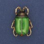 Beetle Brooch Green Enamel Black Rhinestones Gold-Tone Metal 23x31mm+