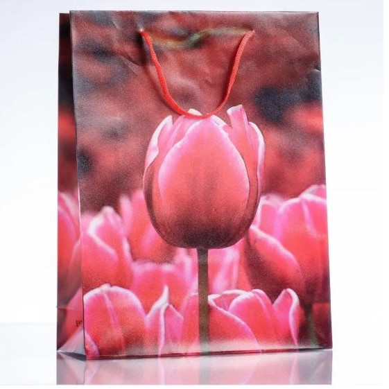 Clearance! Gift Bag 18x24cm (PE Material)