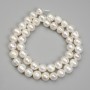 Freshwater Pearl Beads, diameter 8-8.5x9mm +/- on thread, length 39cm+
