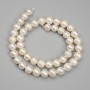 Freshwater Pearl Beads, diameter 7.5-8x8-9mm +/- on thread, length 36cm+